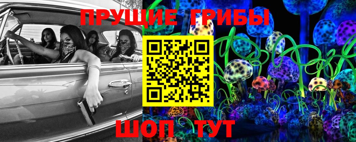 Избербаш  Псилоцибиновые грибы Psilocybine cubensis  Вход с VPN  Псилоцибиновые грибы MAGIC MUSHROOMS 
