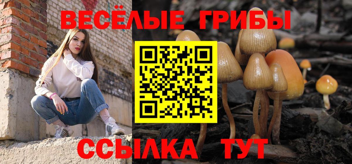 Псилоцибиновые грибы MAGIC MUSHROOMS Избербаш